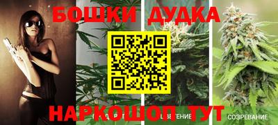 таблы Новодвинск