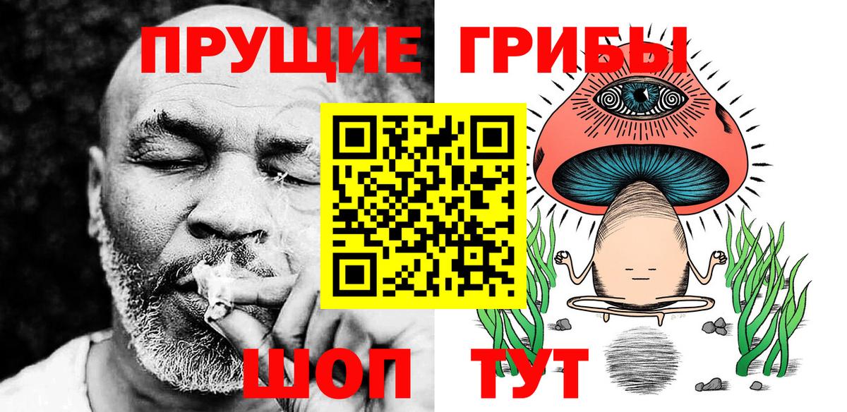 Галлюциногенные грибы Cubensis  Вход с VPN  купить  сайты  Сунжа 