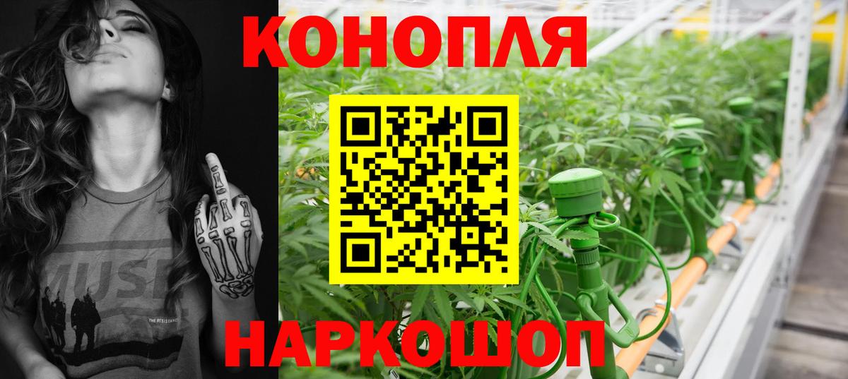 Каннабис SATIVA & INDICA Сунжа