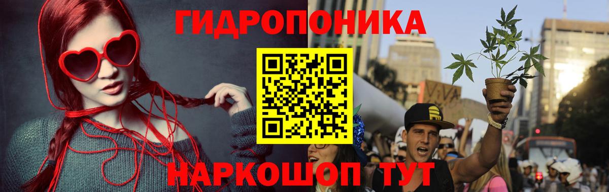 Марихуана тримм  Бошки марихуана OG Kush  Сунжа  Конопля семена  Вход с VPN  Шишки марихуана OG Kush 
